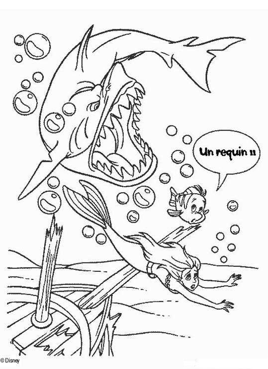 coloriage Arielle la petite sirene poursuivit par un requin